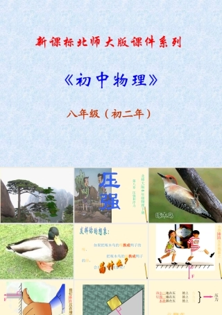 八年级物理下册 8.1(压强)课件 北师大版 课件