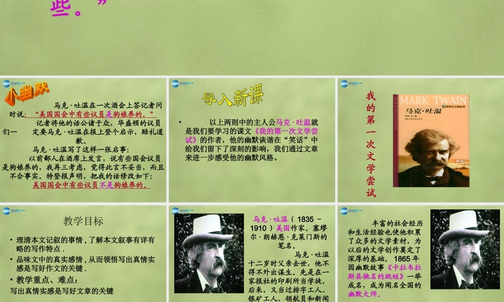 中学七年级语文上册 2(我的第一次文学尝试)课件 (新版)语文版 课件
