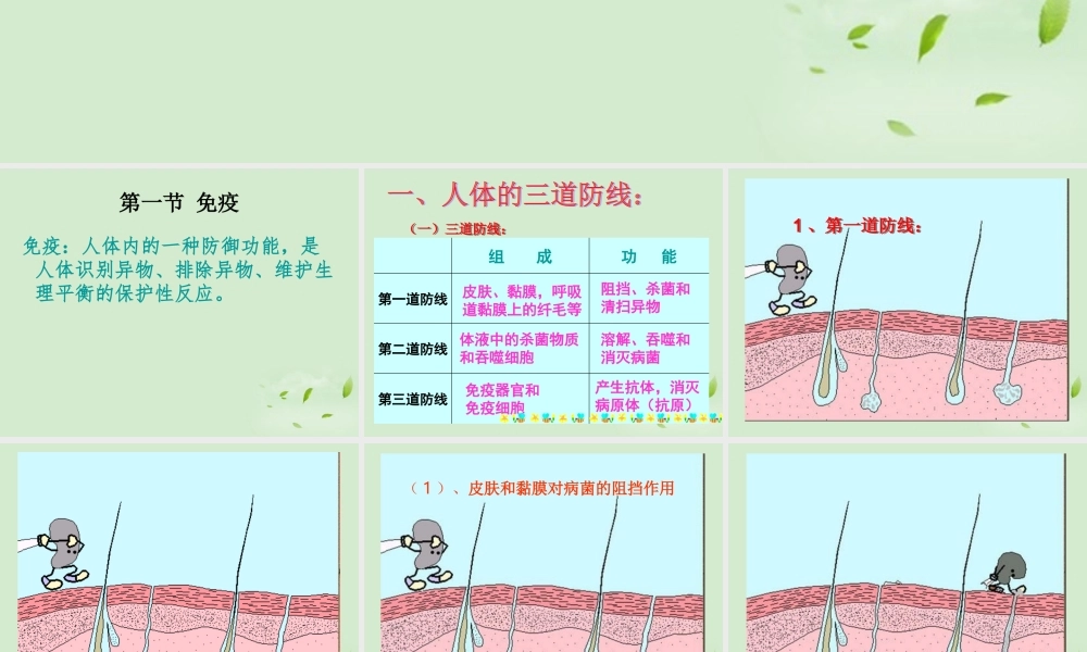 七年级生物 增强免疫 预防疾病课件 冀教版 课件