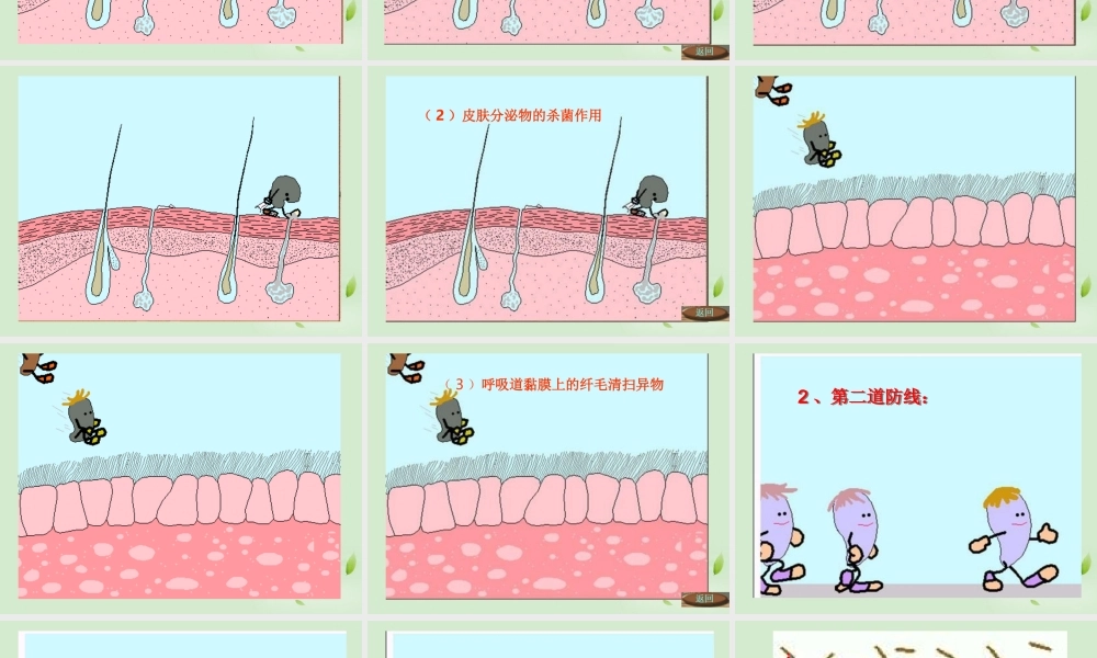 七年级生物 增强免疫 预防疾病课件 冀教版 课件