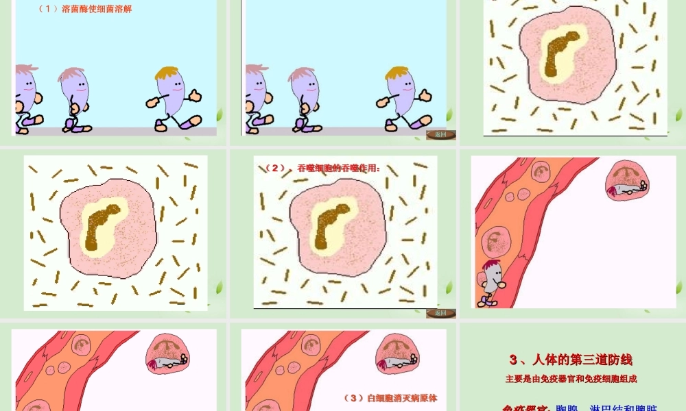 七年级生物 增强免疫 预防疾病课件 冀教版 课件