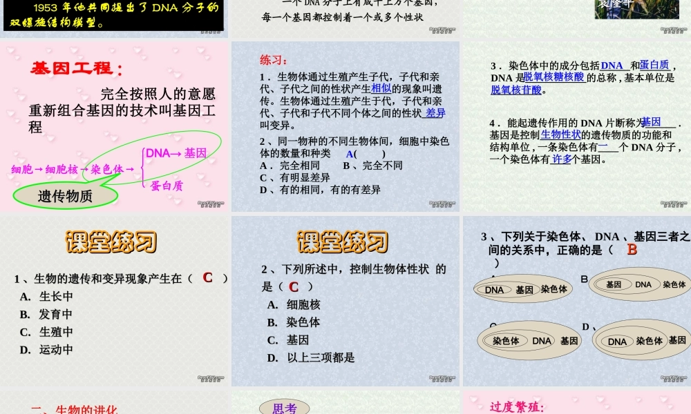 初三总复习第12课 遗传和进化 浙教版 试题