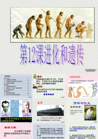 初三总复习第12课 遗传和进化 浙教版 试题