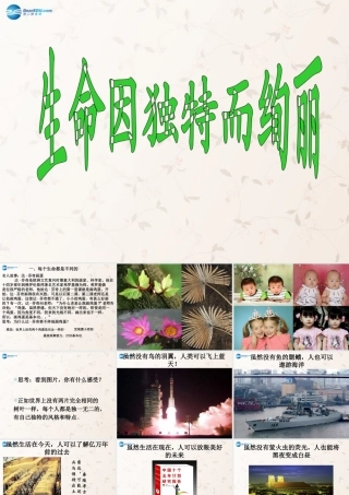 中学七年级政治上册 3.2 生命因独特而绚丽课件 新人教版 课件