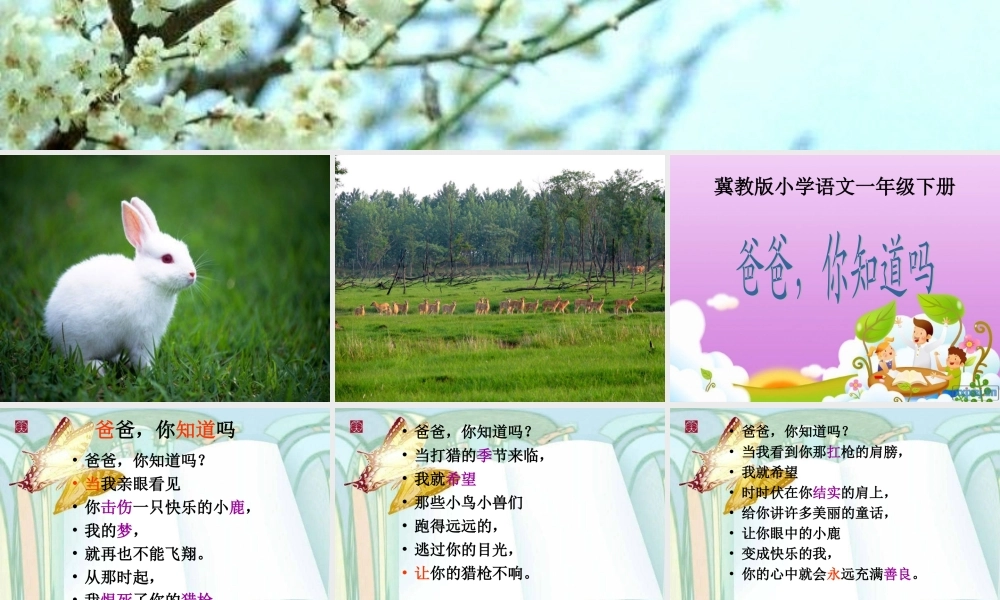 11.-《爸爸你知道吗》课件1