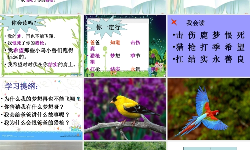 11.-《爸爸你知道吗》课件1