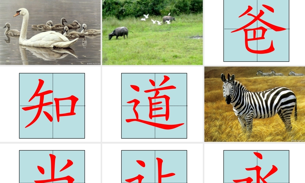 11.-《爸爸你知道吗》课件1