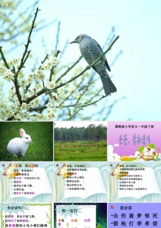 11.-《爸爸你知道吗》课件1
