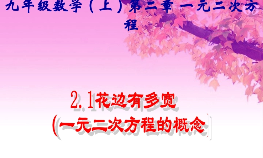 九年级数学上第二章 21花边有多宽 一元二次方程的概念精品课件 北师大版 课件