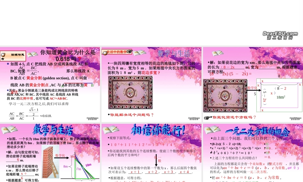 九年级数学上第二章 21花边有多宽 一元二次方程的概念精品课件 北师大版 课件