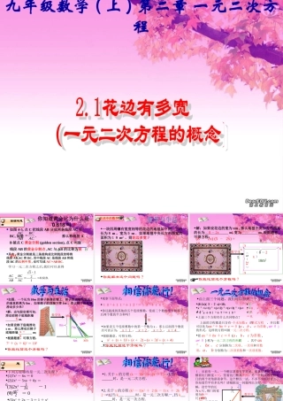九年级数学上第二章 21花边有多宽 一元二次方程的概念精品课件 北师大版 课件