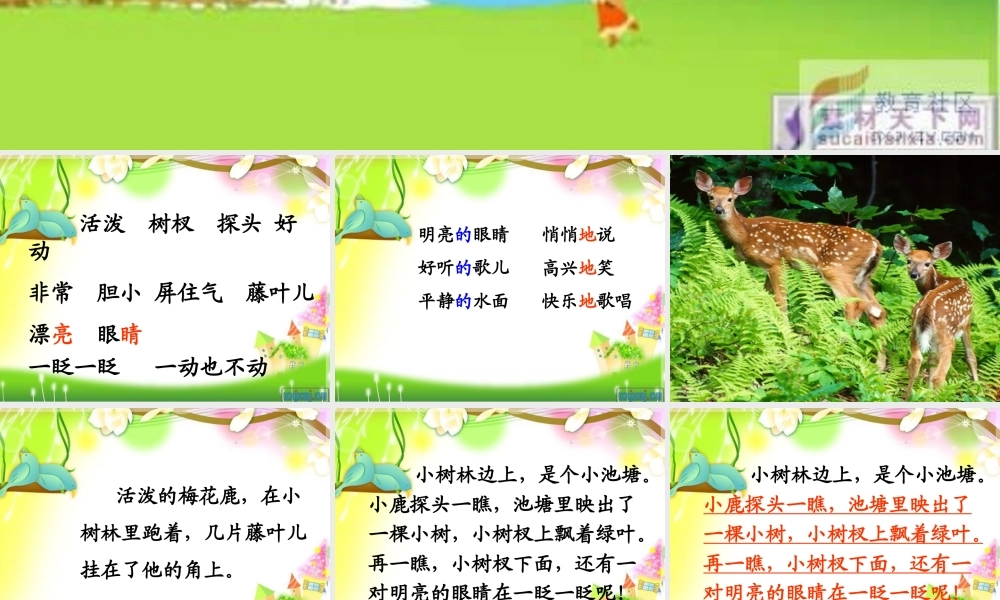 2、长眼睛的小树