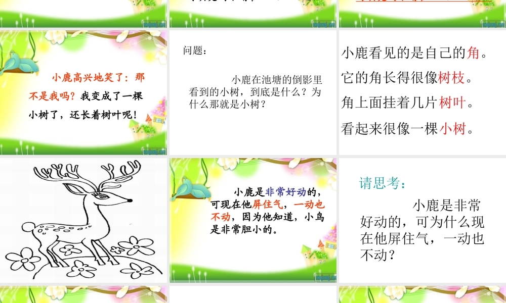 2、长眼睛的小树