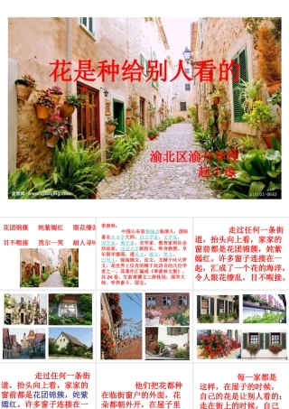 28花是种给别人看的