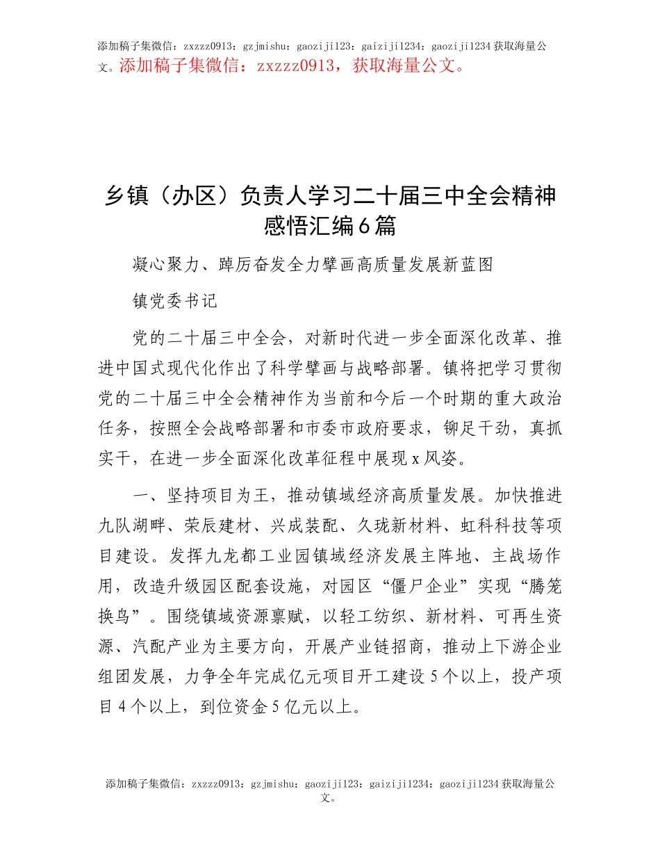 乡镇（办区）负责人学习二十届三中全会精神感悟汇编6篇_第1页