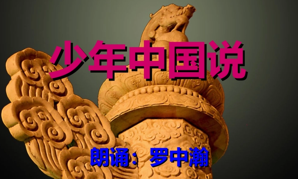 少年中国说五2罗中瀚