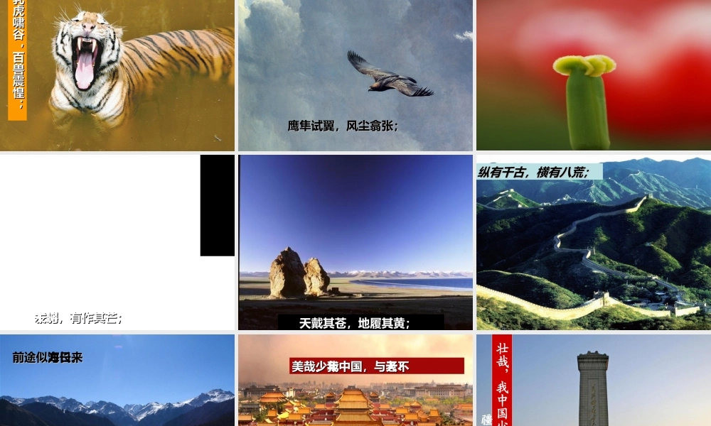 少年中国说五2罗中瀚