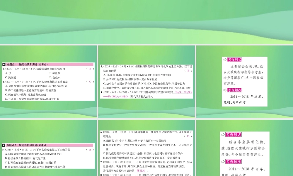 中考化学总复习 教材考点梳理 第十单元 酸和碱 课时1 常见的酸和碱课件