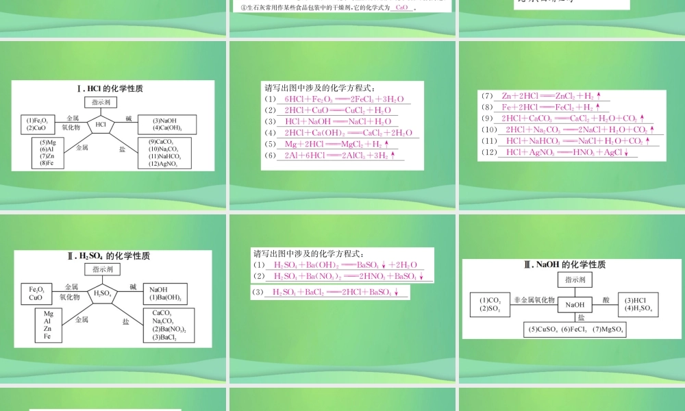 中考化学总复习 教材考点梳理 第十单元 酸和碱 课时1 常见的酸和碱课件