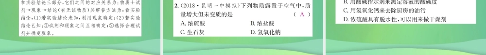 中考化学总复习 教材考点梳理 第十单元 酸和碱 课时1 常见的酸和碱课件