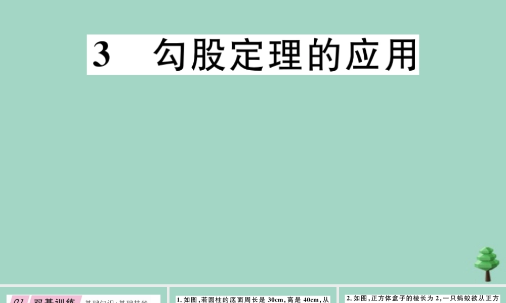 八年级数学上册 第一章(勾股定理)1.3 勾股定理的应用作业课件 (新版)北师大版 课件
