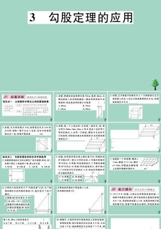 八年级数学上册 第一章(勾股定理)1.3 勾股定理的应用作业课件 (新版)北师大版 课件