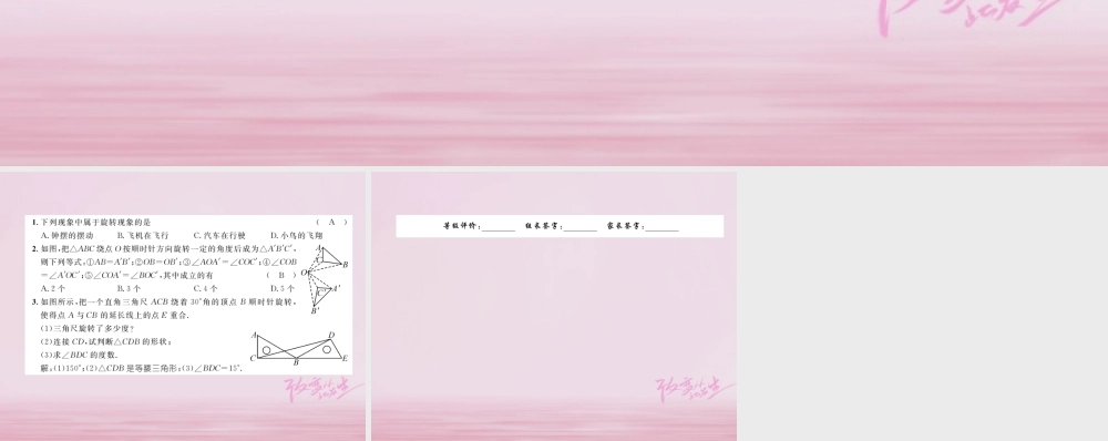 九年级数学上册 231 图形的旋转练习课件 (新版)新人教版 课件