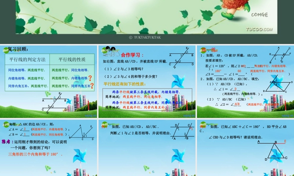 八年级数学上册 1.3 平行线性质第二课时课件 浙教版 课件