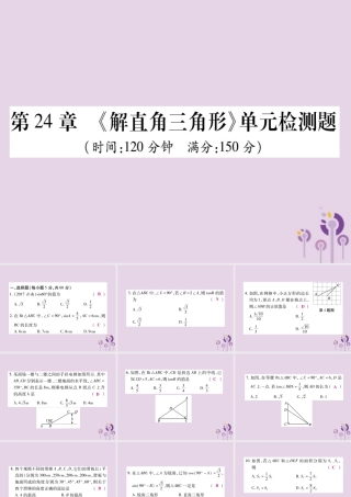 九年级数学上册 第24章(解直角三角形)单元检测卷课件 (新版)华东师大版 课件