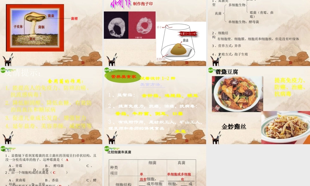 八年级生物上册 第四章第三节真菌课件 人教新课标版 课件