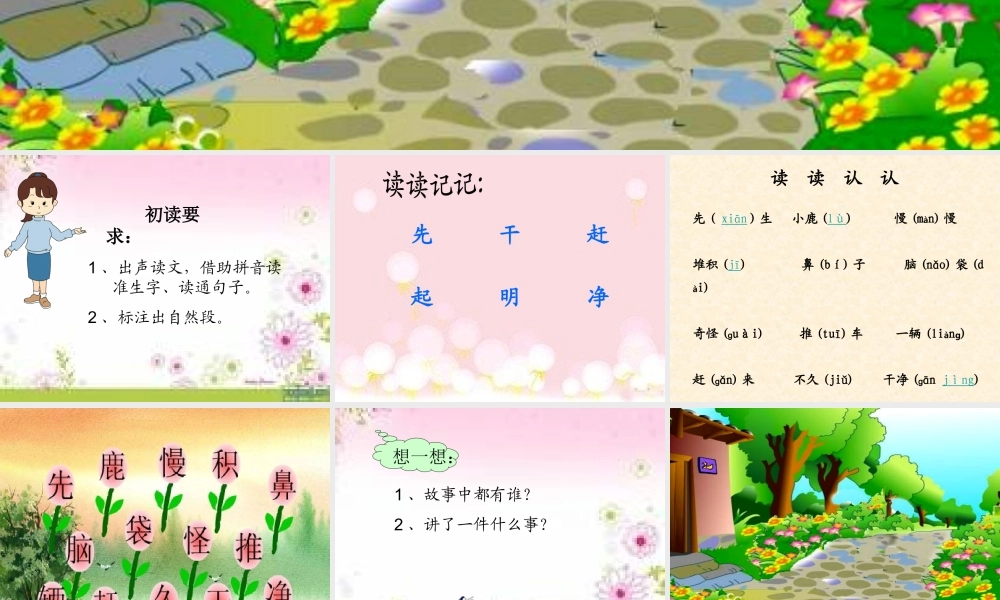 729美丽的小路