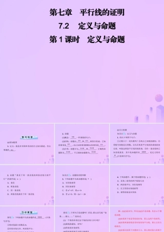 八年级数学上册 第七章 平行线的证明 7.2 定义与命题 第1课时 定义与命题习题课件 (新版)北师大版 课件