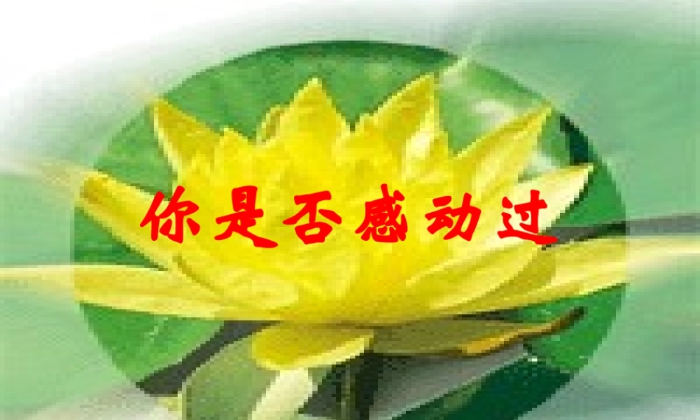 九年级语文上册 你是否曾经感动过-作文素材课件 人教新课标版 课件