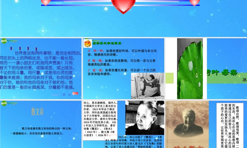 七年级语文上册 (荷叶母亲)课件 人教新课标版 课件