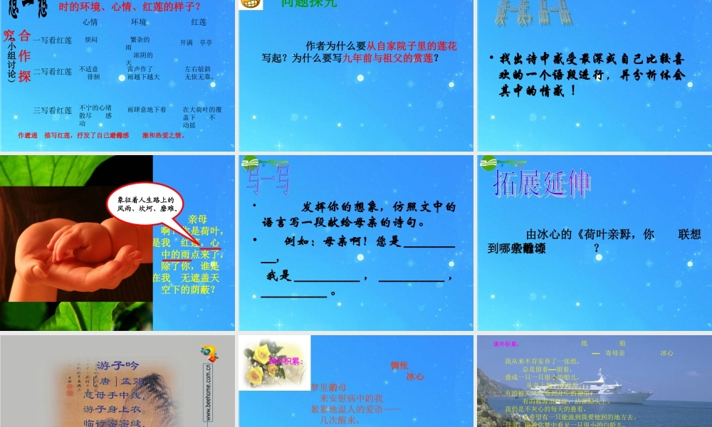 七年级语文上册 (荷叶母亲)课件 人教新课标版 课件