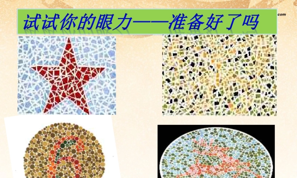 八年级生物下册 第六章 眼和视觉的形成配套课件 鲁科版 课件