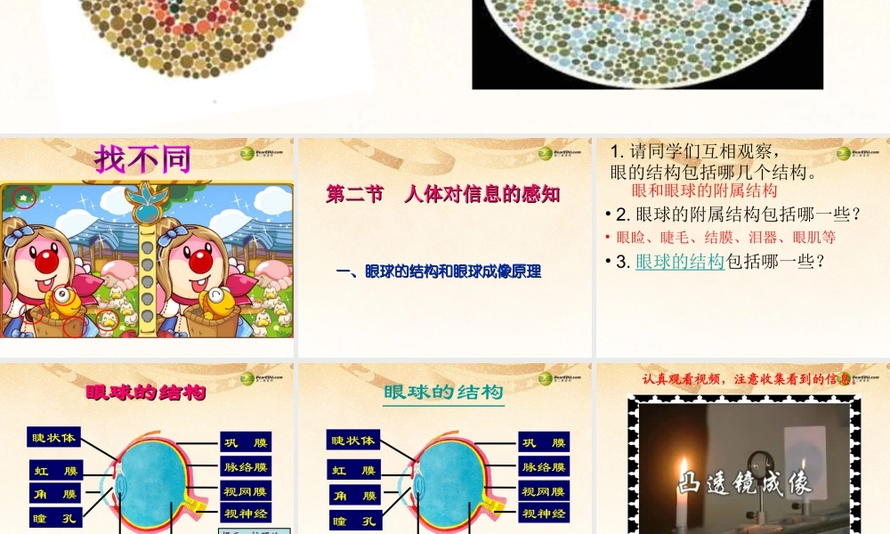 八年级生物下册 第六章 眼和视觉的形成配套课件 鲁科版 课件