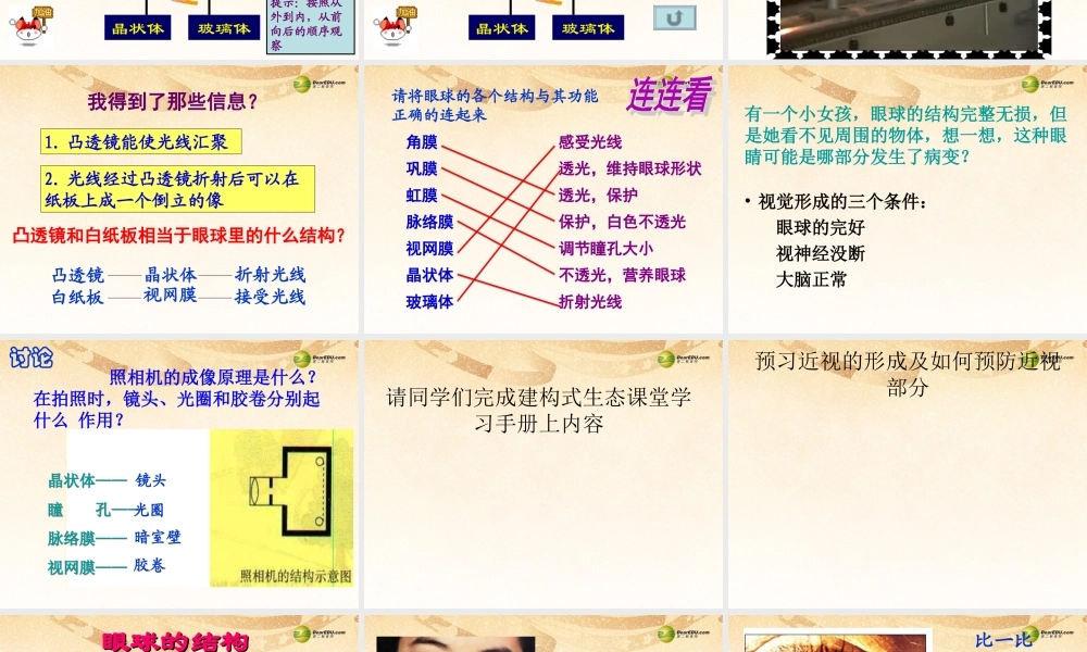 八年级生物下册 第六章 眼和视觉的形成配套课件 鲁科版 课件