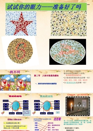 八年级生物下册 第六章 眼和视觉的形成配套课件 鲁科版 课件