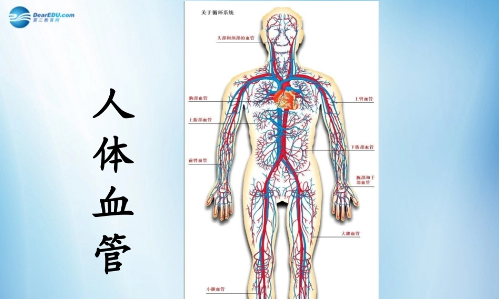 中学七年级生物下册 第四章 第一节 流动的组织-血液课件 (新版)新人教版 课件