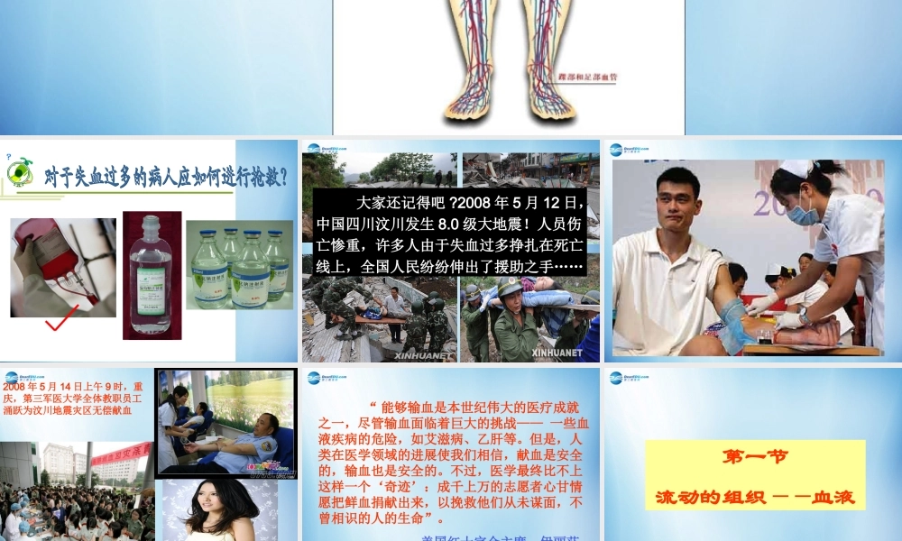 中学七年级生物下册 第四章 第一节 流动的组织-血液课件 (新版)新人教版 课件