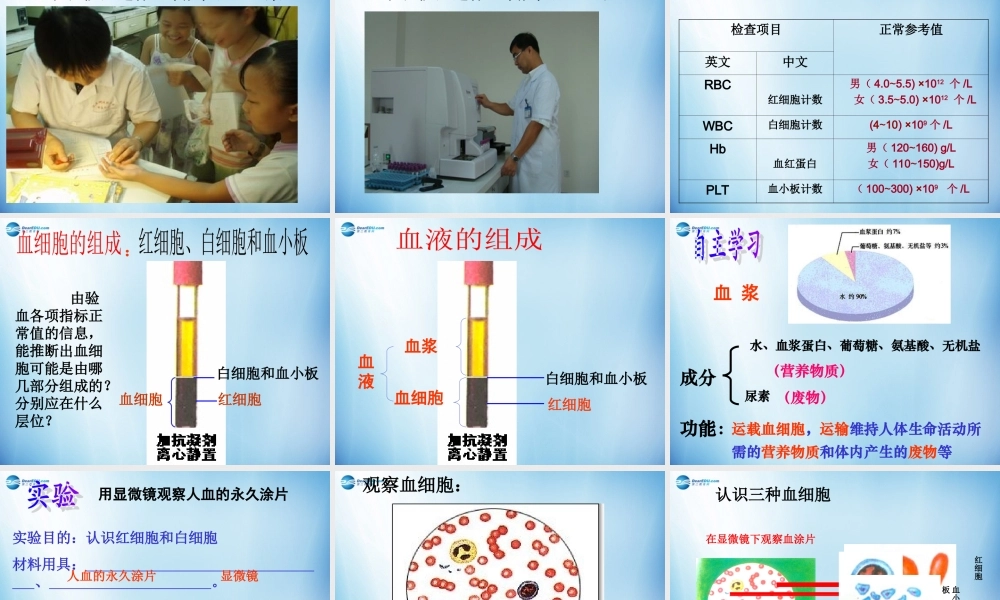 中学七年级生物下册 第四章 第一节 流动的组织-血液课件 (新版)新人教版 课件