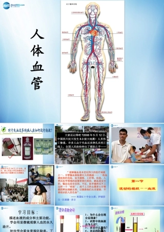 中学七年级生物下册 第四章 第一节 流动的组织-血液课件 (新版)新人教版 课件