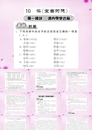 九年级语文下册 10 读(堂吉诃德)课件 语文版 课件