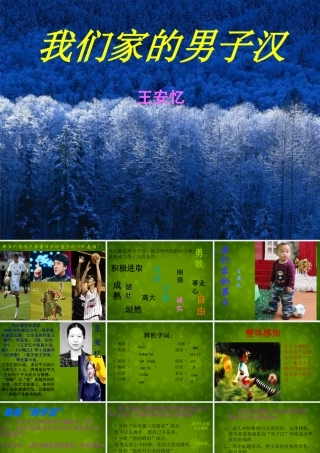 七年级语文下册(9 我们家的男子汉)课件 (新版)苏教版 课件