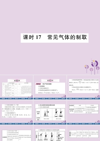 中考化学总复习 第1编 主题复习 模块5 科学探究 课时17 常见气体的制取(精讲)课件