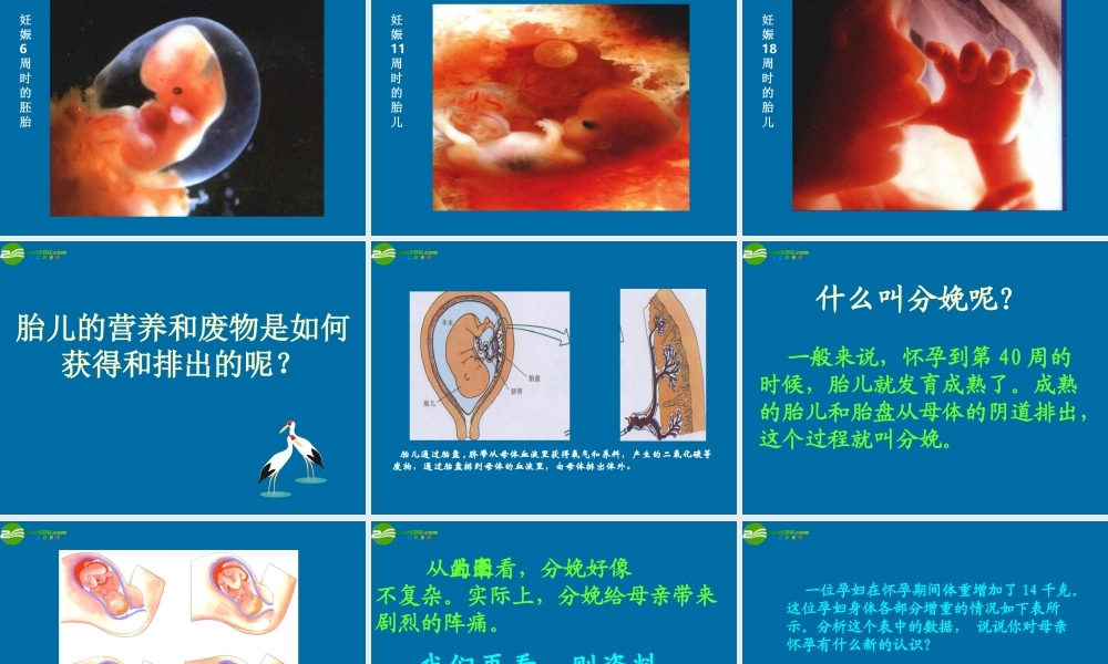 八年级生物上册 人的生殖课件 苏科版 课件