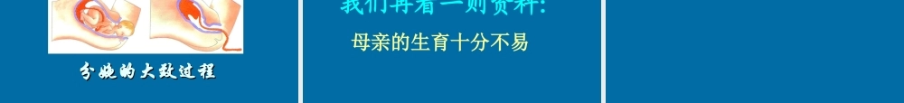八年级生物上册 人的生殖课件 苏科版 课件