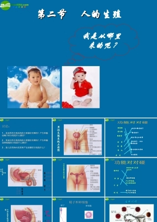 八年级生物上册 人的生殖课件 苏科版 课件