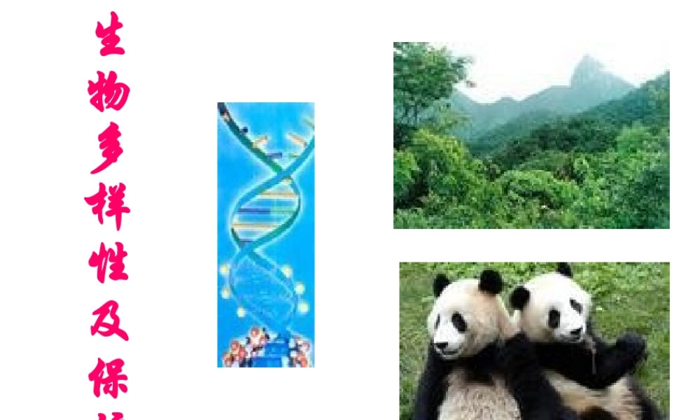 八年级生物下：第六单元第二章生物多样性及保护复习课件济南版 课件